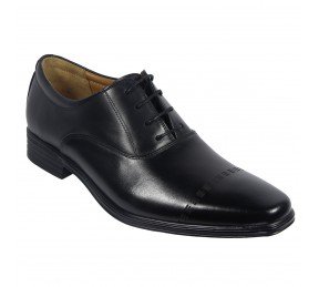 Frank Williams (Business) M23-8504
